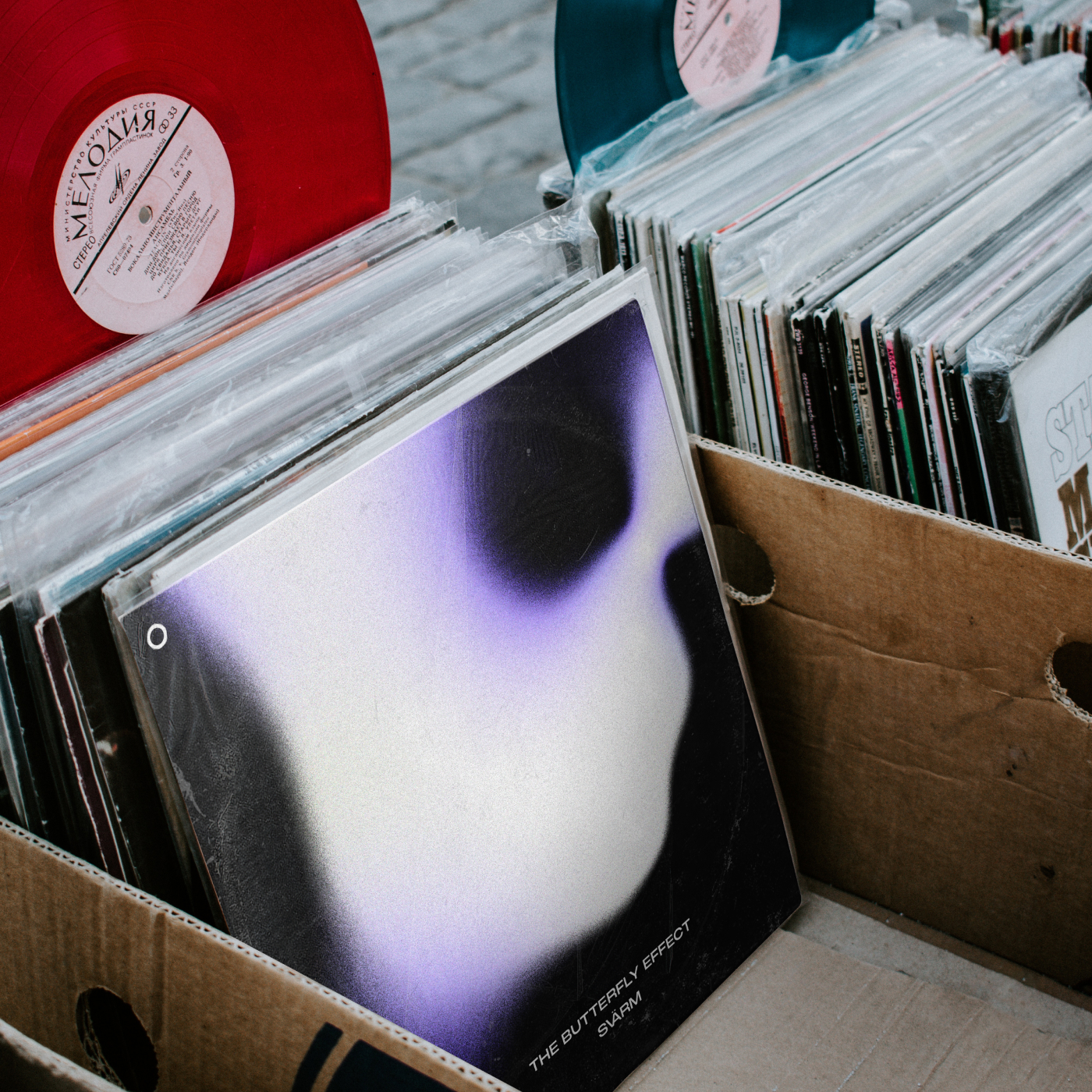 SVARM CONTENT 1 SVARM CONTENT 1